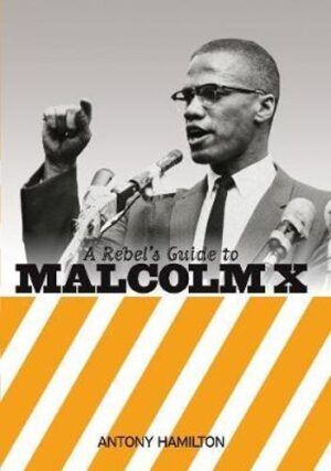 a-rebel-s-guide-to-malcolm-x